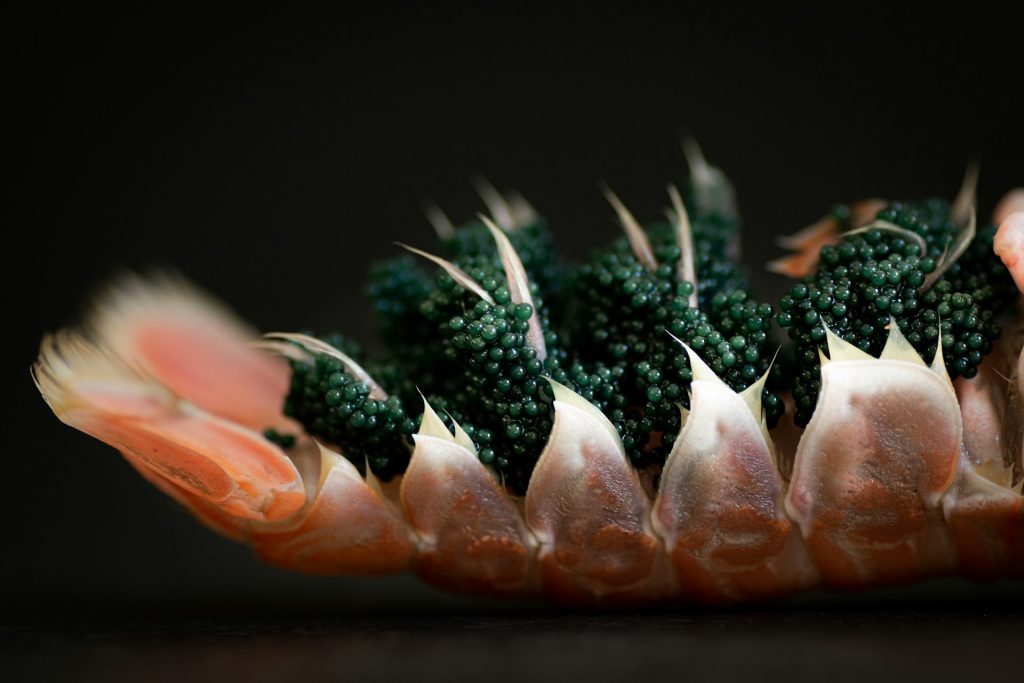 buy caviar online