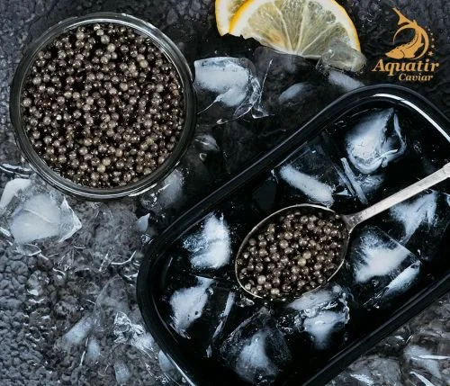 Aquatir Caviar