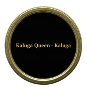 kaluga queen - kaluga