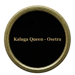 kaluga queen - osetra
