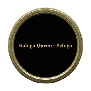 Kaluga Queen – Beluga
