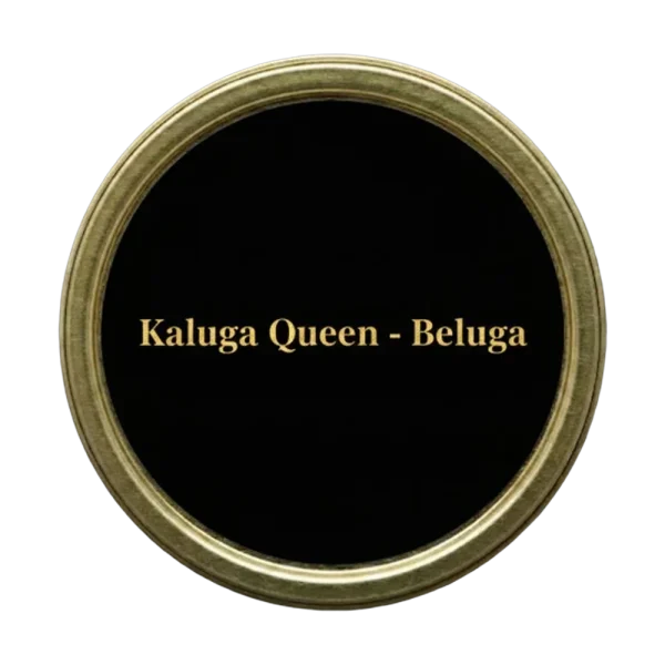 Kaluga Queen – Beluga