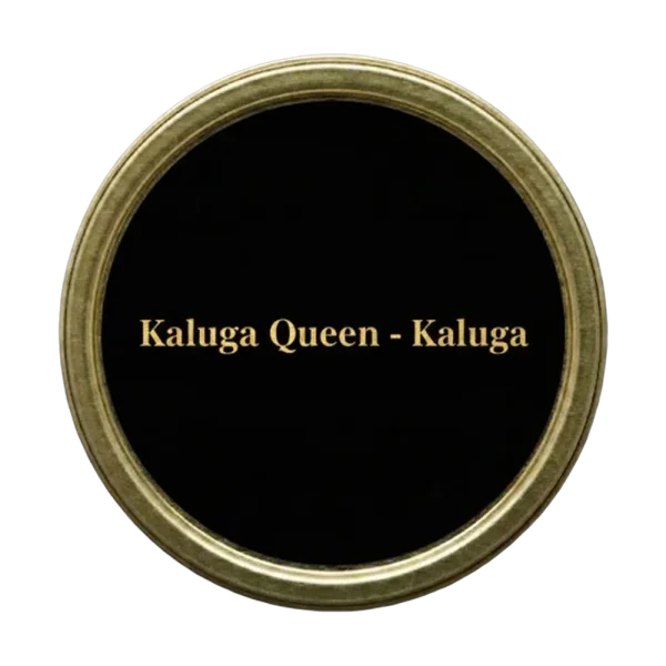 Kaluga Queen – Kaluga