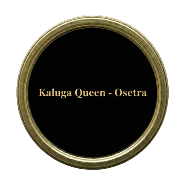 Kaluga Queen – Osetra